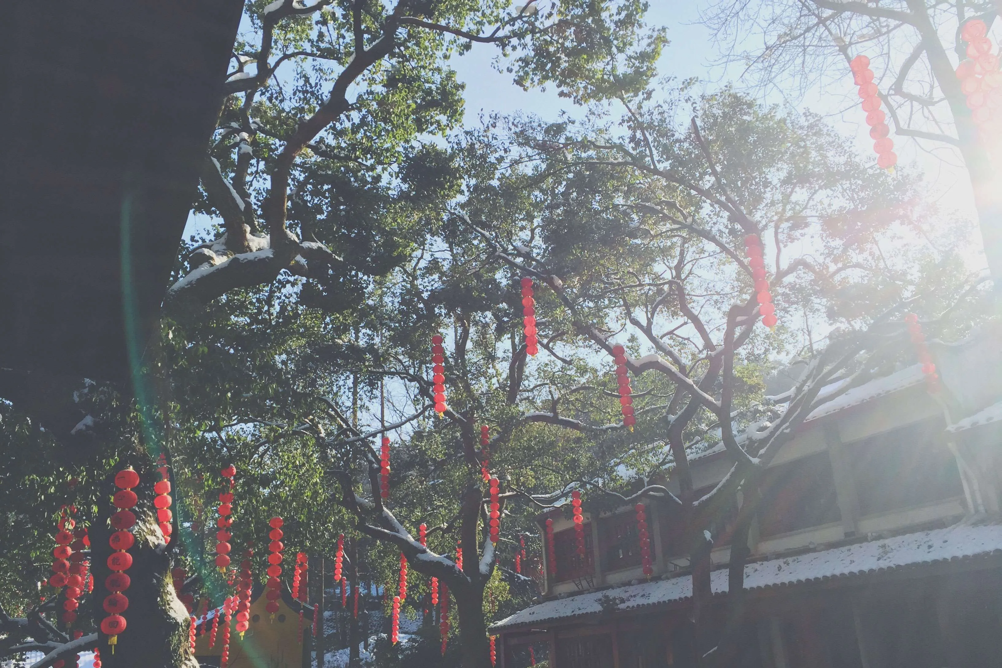 法喜寺